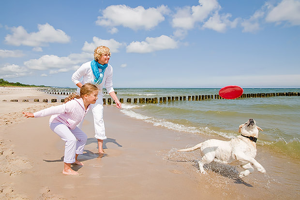 A woman and young girl throw a Frisbee to their dog
