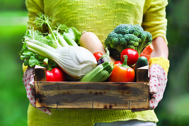 Plant Nutrients that Improve Health